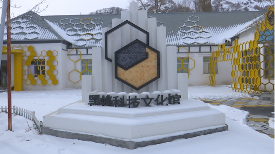 着力打造新疆黑蜂科技馆 助力蜂产业发展蜂农增收