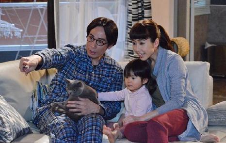 来自喵喵星的你薛思思养的猫是什么品种 薛思思的猫品种价格介绍