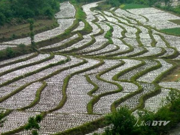 陕西安康汉滨区徐兴平扶贫访谈