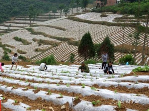 陕西安康汉滨区徐兴平扶贫访谈