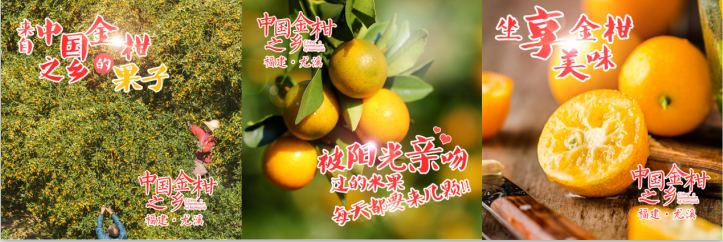 "福建尤溪金柑形象大使-全国网红主播征集选拔"正式启动