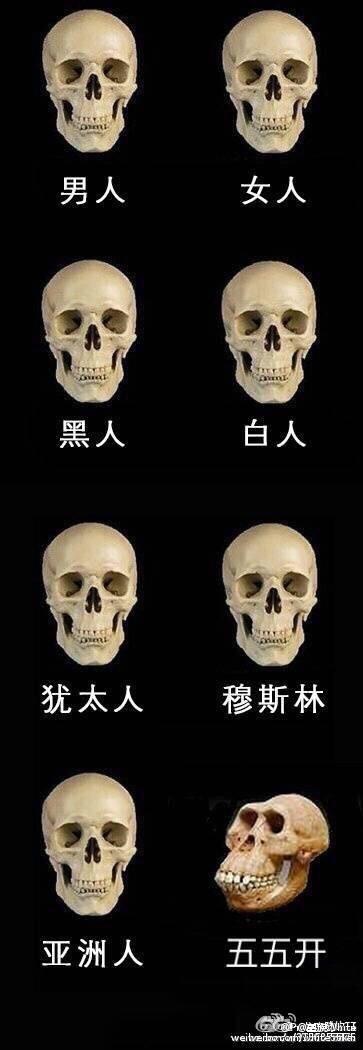 赵梦玥微博公开斗鱼tv五五开裸照 “斗鱼三骚”七哥在哪里直播