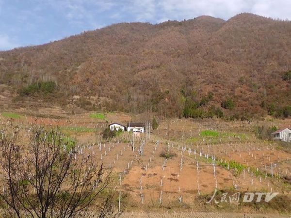 陕西安康汉滨区徐兴平扶贫访谈